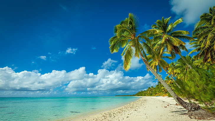nature, landscape, beach, sea, island, palm trees, tropical, HD wallpaper
