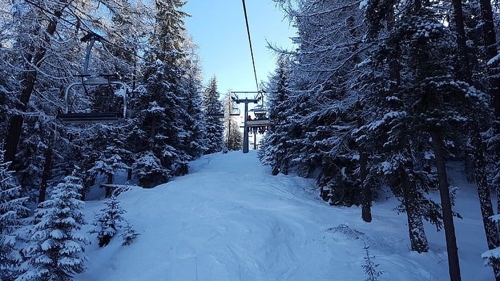 ski lift, snow, forest, trees, nature, winter, cold temperature, HD wallpaper
