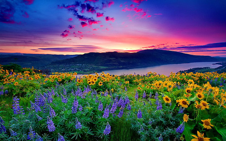 HD wallpaper: Nature Landscape Yellow Flowers And Blue Mountain Lake Hills  Red Cloud Sunset Hd Desktop Wallpaper 3840×2400 | Wallpaper Flare