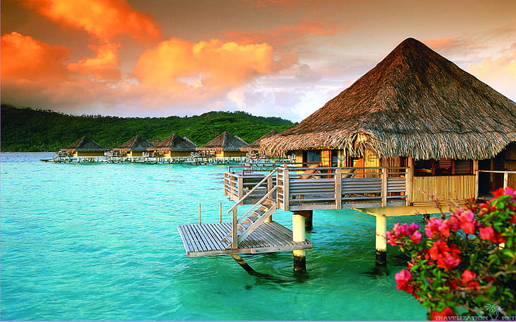 Tahiti St Regis Bora Bora French Polynesia Luxury Bungalows, HD wallpaper