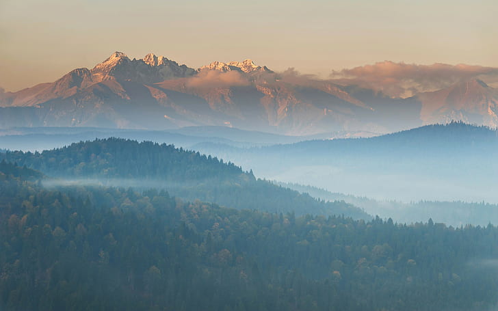 mist, mountains, sunset, forest, HD wallpaper