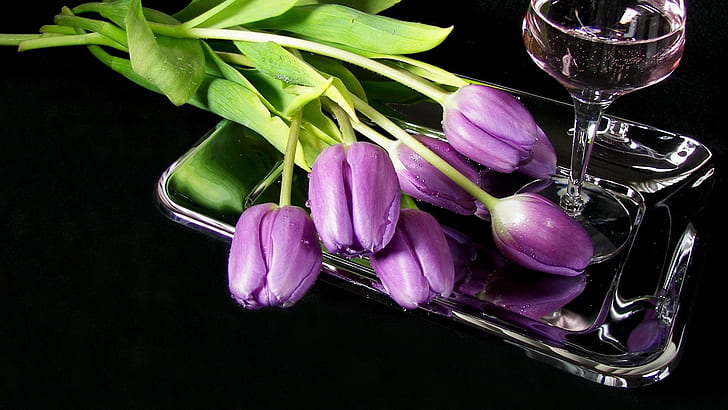 Tulips flowers wine glass tray, HD wallpaper