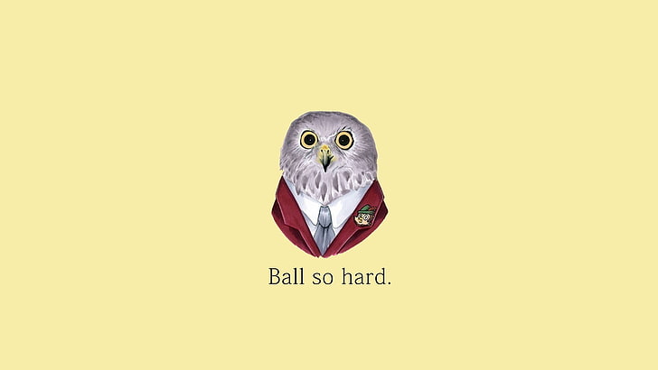 owl with text overlay, quote, Kanye West, yellow, communication