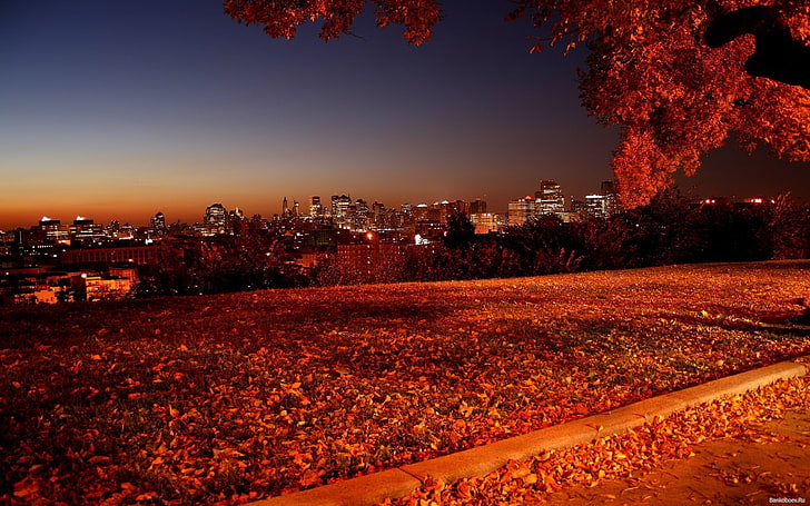 cityscape, city lights, fallen leaves, dusk, architecture, building exterior, HD wallpaper