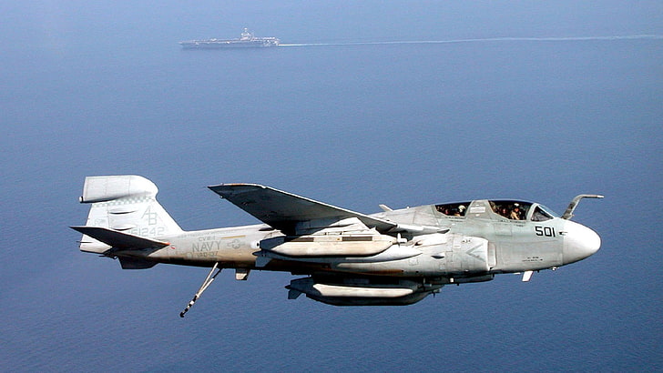 gray airplane, jet fighter, Northrop Grumman EA-6B Prowler, military