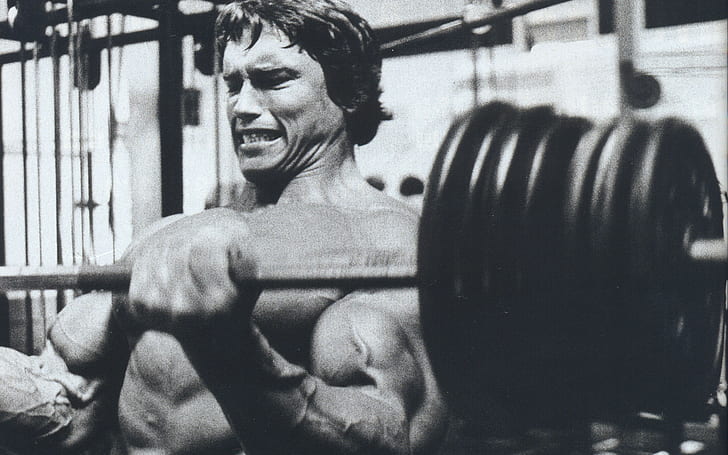 arnold schwarzenegger bodybuilding bodybuilder barbell dumbbells gyms exercising, HD wallpaper