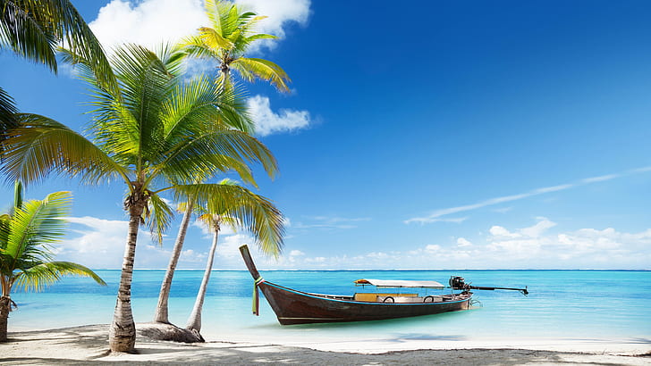 Thailand, beach, palms trees, sea, boat