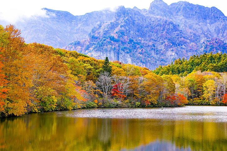 body of water and trees, japan, togakushi, lake, mountains, autumn, HD wallpaper