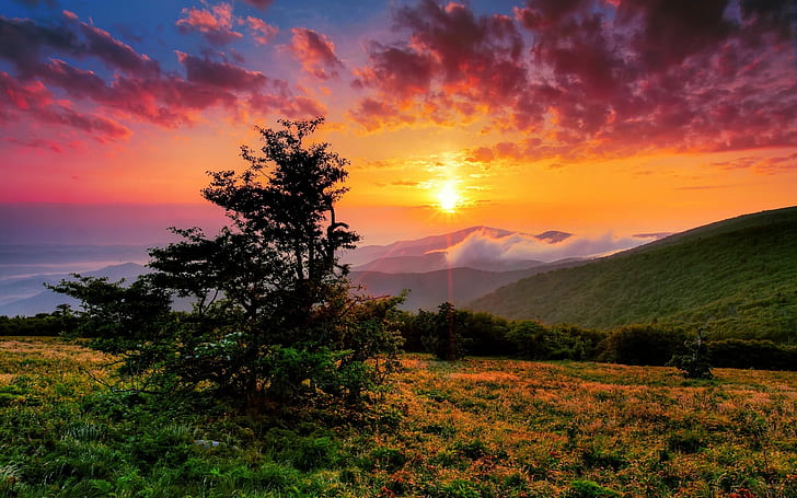 Sunset in North Carolina, landscape, us
