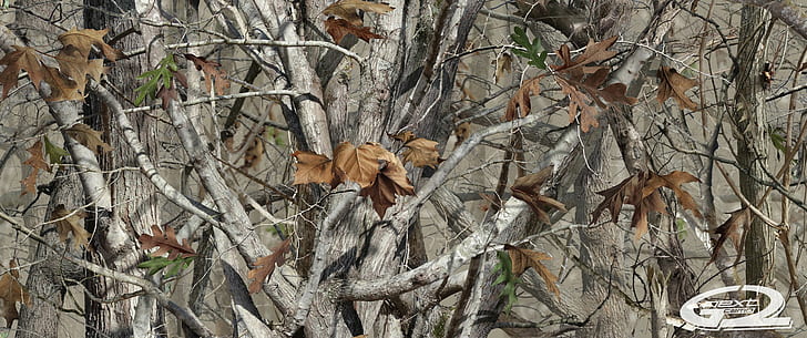 camouflage, Woodland Camouflage