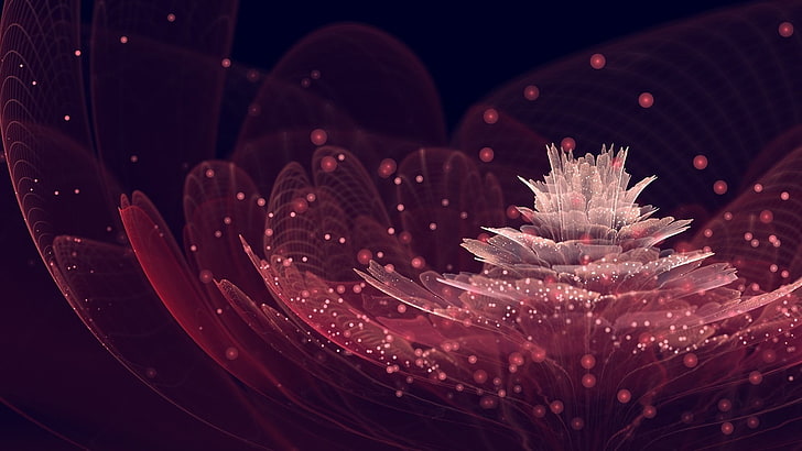 white and red flower illustration, flowers, fractal, digital art, HD wallpaper