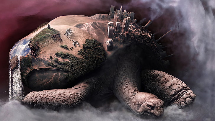 brown tortoise, digital art, fantasy art, tortoises, animals