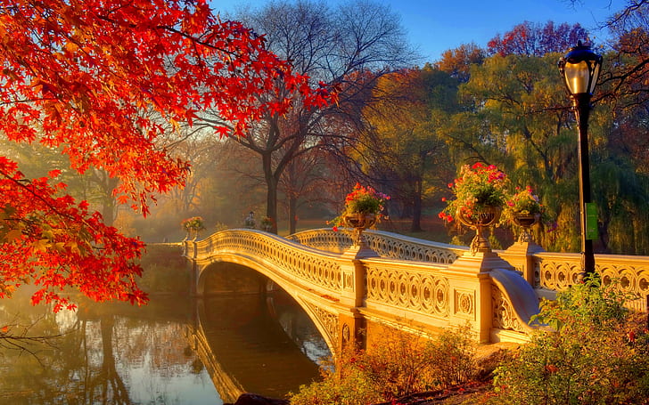 Autumn park at morning, river, bridge, trees, flowers, white concrete bridge
