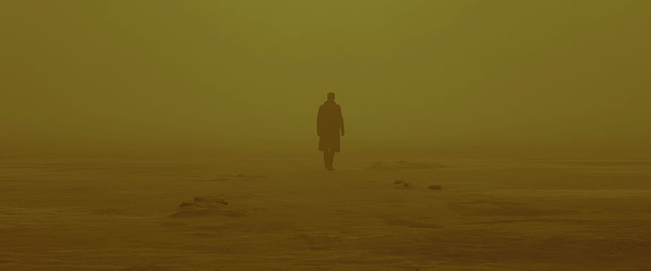 Blade Runner 2049, futuristic, one person, full length, real people