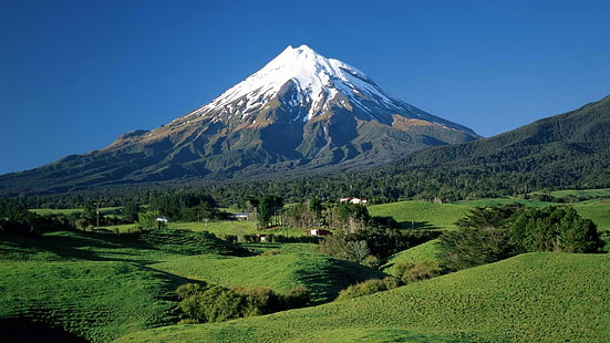 Neuseeland Kühe am Vulkan Mount Taranaki ehemals Mount Egmont Ansichtskarte 