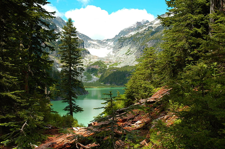 lake between green mountain, forest, mountains, Washington state, HD wallpaper