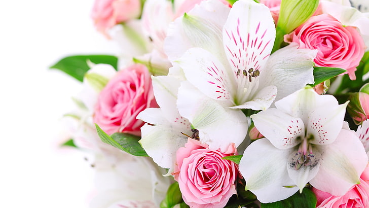bouquet, pink, rose, flower, floral, flowers, blossom, petal, HD wallpaper