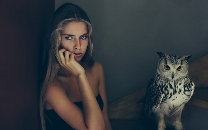 strapless dress, birds, owl, animals, Camille Rochette, women, HD wallpaper
