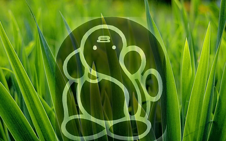 Grass And Lord Shri Ganesha, green leafed plant, God, Lord Ganesha