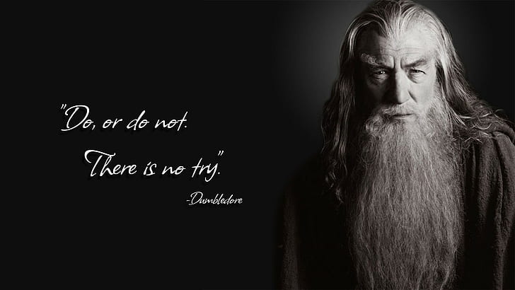 Albus Dumbledore, gandalf, Harry Potter, quote, Yoda, HD wallpaper