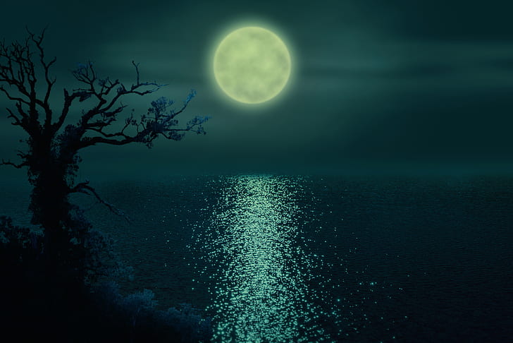 night, river, The moon, the ripples on the water, lonely tree, HD wallpaper