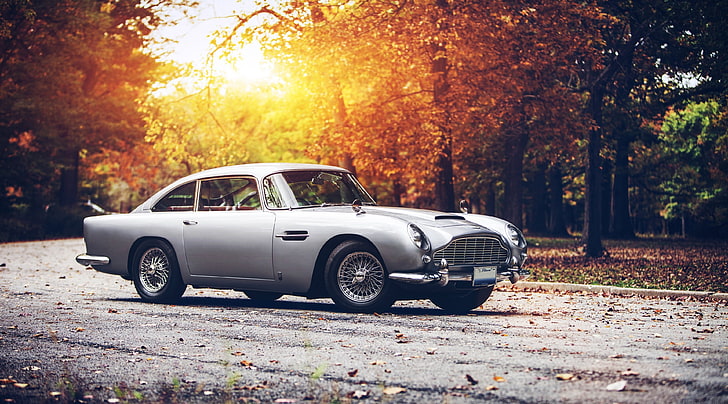 Vintage Car HD, silver Aston Martin DB5, Autumn, tree, transportation