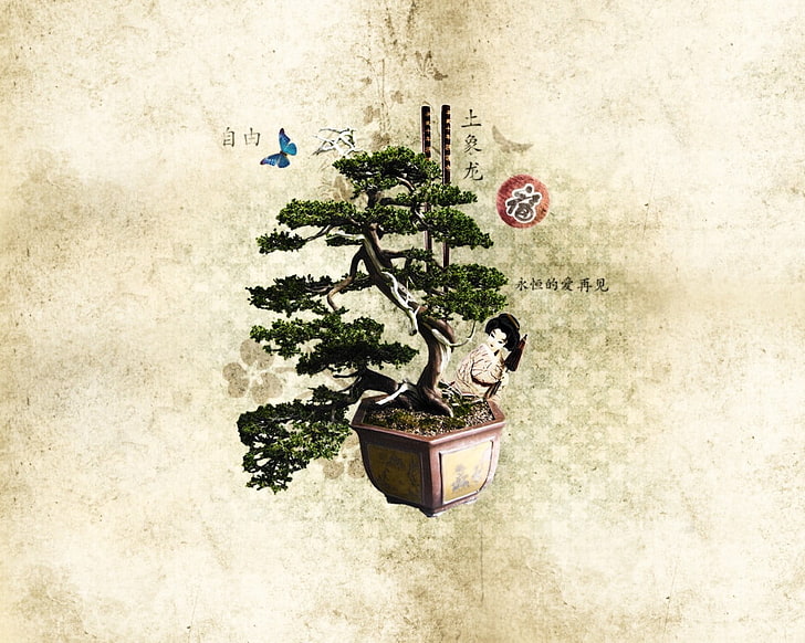 green bonsai plant, Japanese Garden, chopstick, tree, nature
