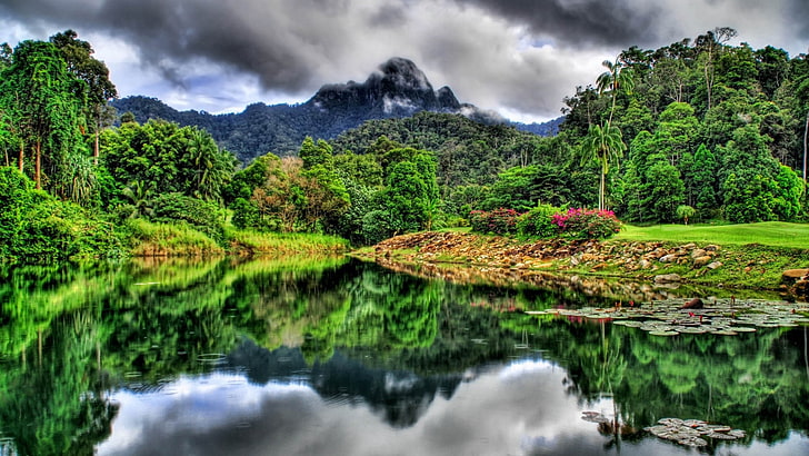 nature, HDR, river, overcast, tropical forest, water, cloud - sky, HD wallpaper