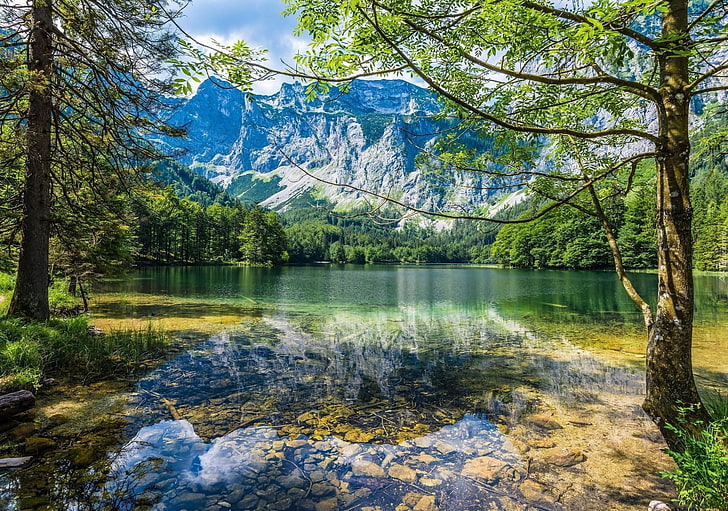 body of water and green leaf tree, landscape, mountains, forest