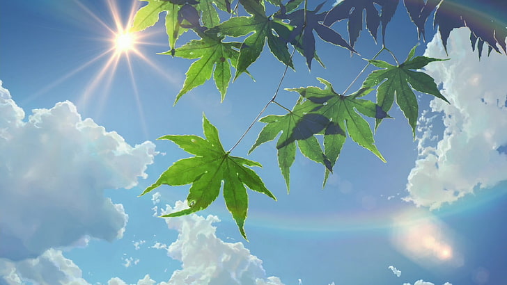 green leafed plant, green cannabis leave under stratocumulus clouds
