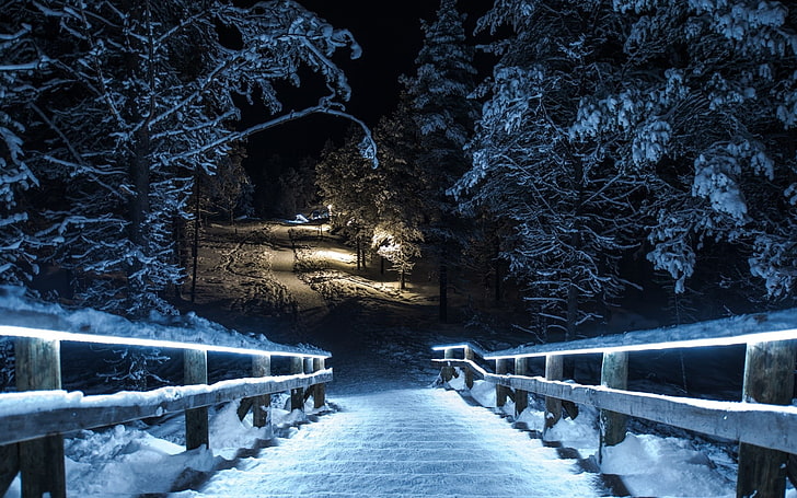 winter, stairs, night, cold temperature, snow, tree, railing, HD wallpaper