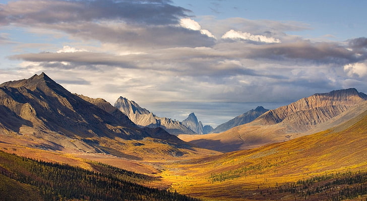 Klondike River Valley, Tombstone Territorial..., brown and gray rock mountain, HD wallpaper