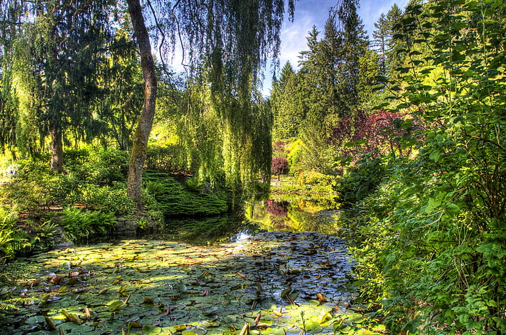 greens, trees, pond, garden, Canada, the bushes, Victoria, Butchart Gardens