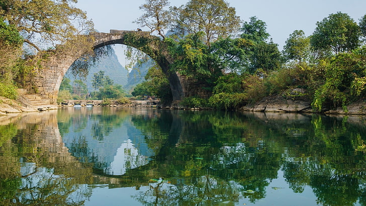 tree, stone bridge, nature reserve, reflected, yangshuo park, HD wallpaper