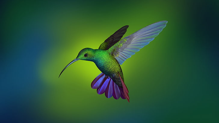 hummingbird, green, beak, fly, wing
