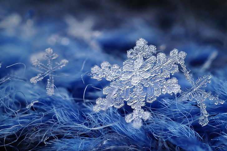 HD wallpaper: snowflakes, macro