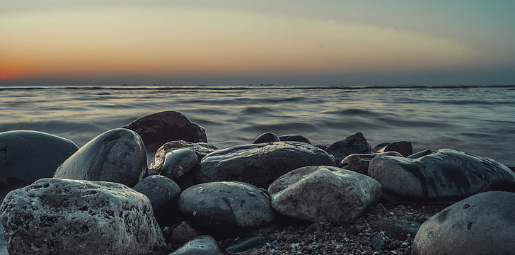 gray stone lot, sunset, stones, seals, water, beach, sky, horizon