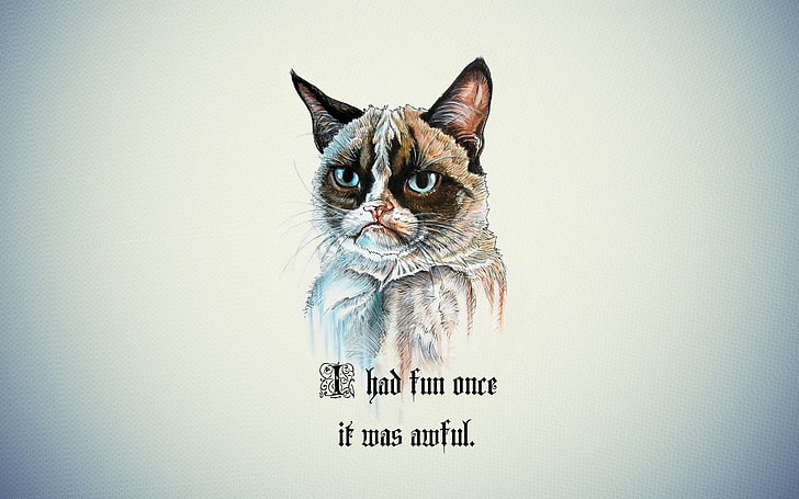 white background with text overlay, Grumpy Cat, quote, cartoon, HD wallpaper