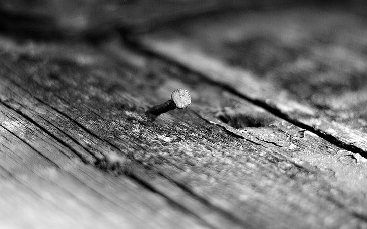 gray steel nail, nail on brown wooden plank, monochrome, nails