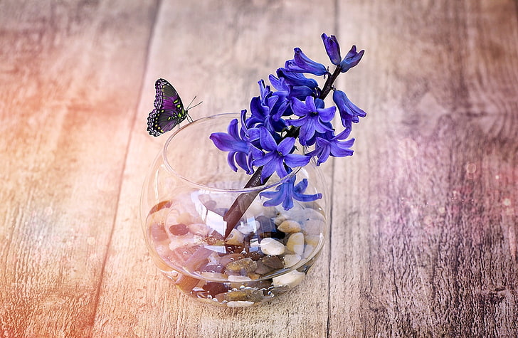 A Spring Hyacinth Flower In Glass Vase, blue flowers, Vintage, HD wallpaper