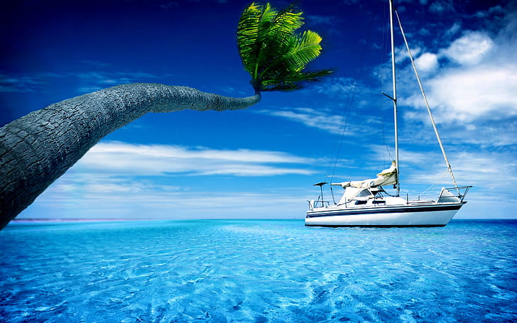 Boat, sea water, palm tree, hot summer sky