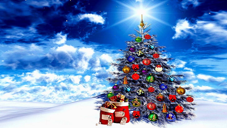 christmas tree, xmas, celebration, HD wallpaper