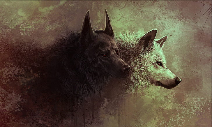 black, animals, white, fantasy art, wolf, HD wallpaper