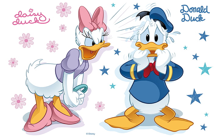Donald Duck And Daisy Duck Disney Cartoon Tense Moments Desktop Backgrounds 380×2400