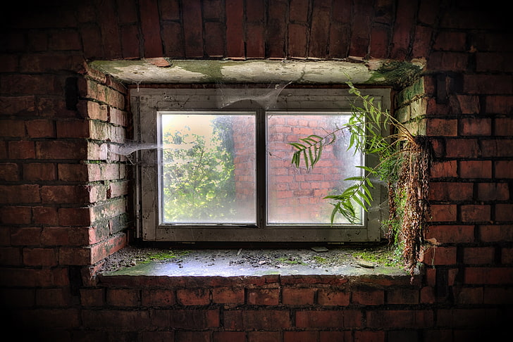 dark, bricks, window, HD wallpaper
