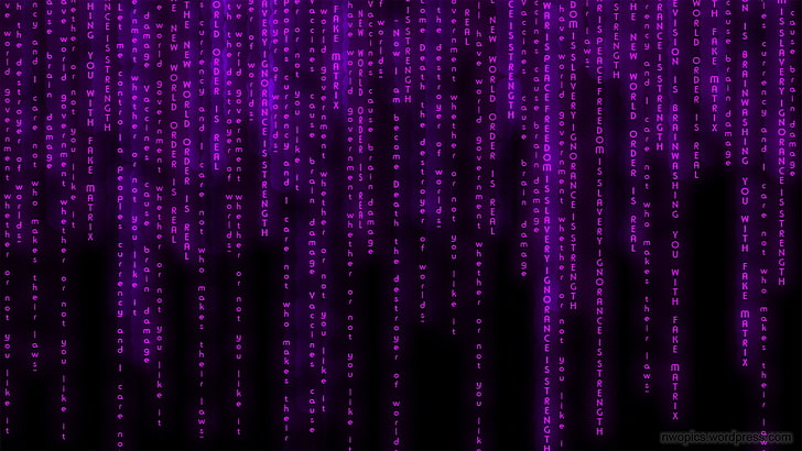 HD wallpaper: matrix background, purple, backgrounds, technology, full  frame | Wallpaper Flare