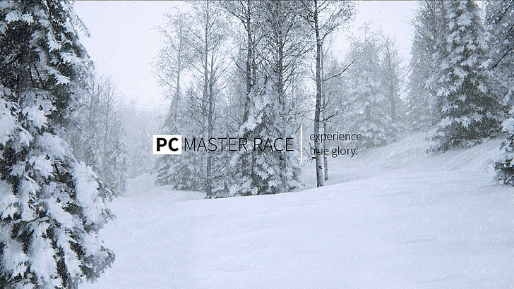 PC master race advertisement, memes, snow, cold temperature, winter