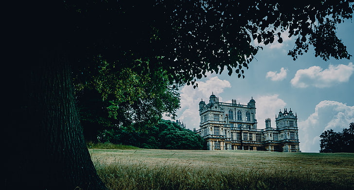 white keep, castle, palace, manor, nottingham, park, house, grass