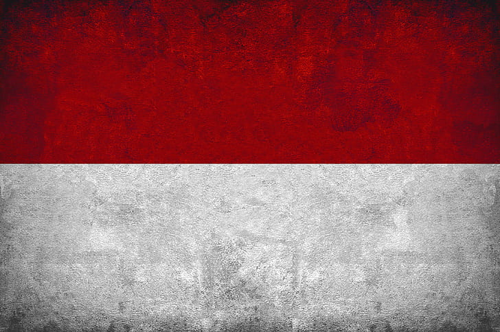 flag, flags, indonesia, indonesian