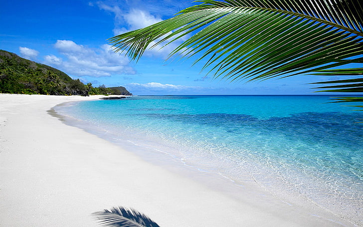 Fiji Beach-Landscape HD Wallpaper, palm tree, tropical climate, HD wallpaper